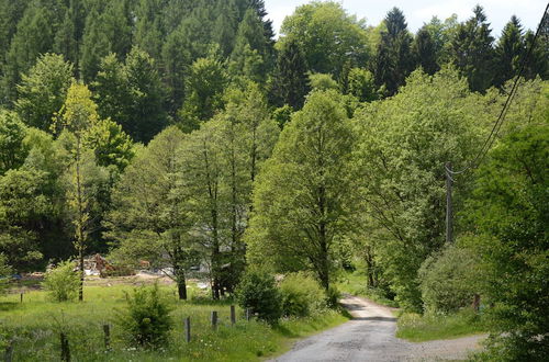 Photo 38 - Elegant Villa in Stavelot With Fitness and Playroom and an Incredible Garden