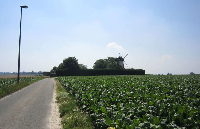 Cozy Holiday Home in Horebeke near Meadow - Foto 24