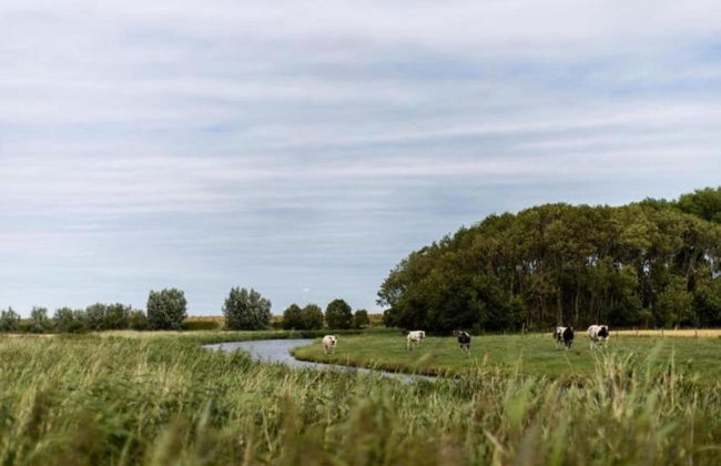 Cozy Holiday Home in Horebeke near Meadow - Foto 40