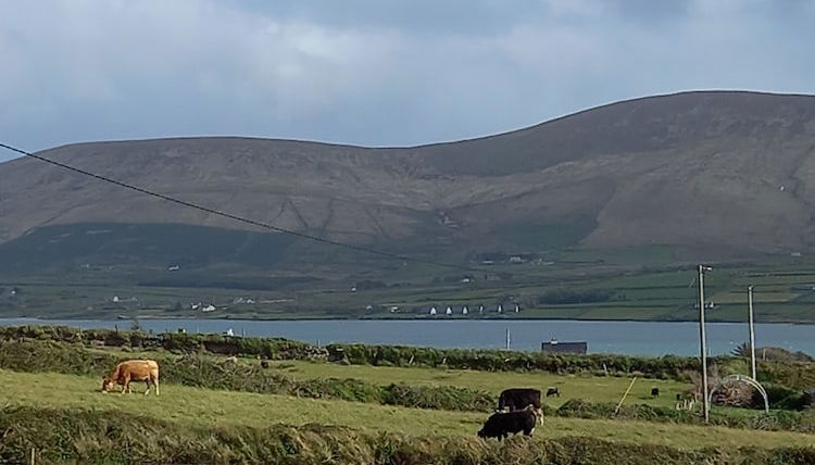 Photo 1 - Stunning 1-bed Apartment Valentia Island