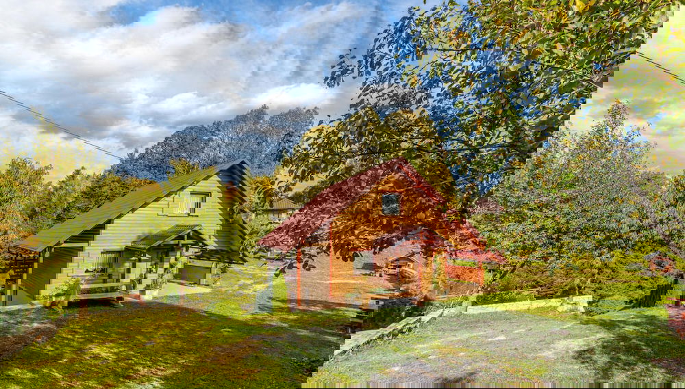 Imagem principal