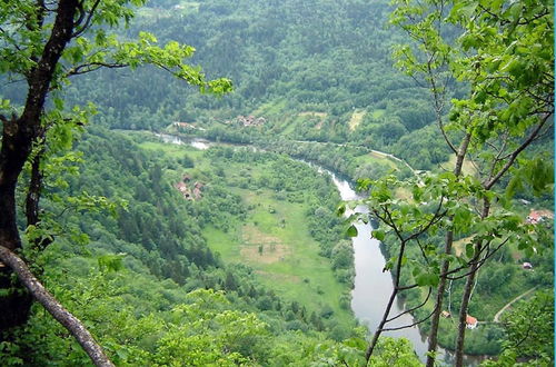 Photo 40 - Comfy Holiday Home in Bunjevci With Hot Tub