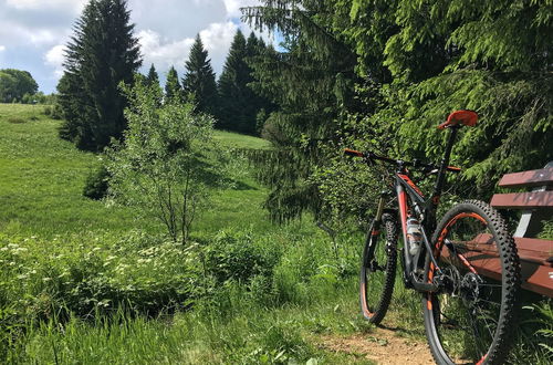 Photo 22 - Ferienhaus Bikehütte Rehnhäusl