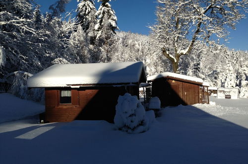 Foto 43 - Ferienhaus Bikehütte Rehnhäusl