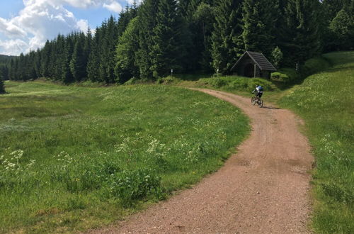 Photo 19 - Ferienhaus Bikehütte Rehnhäusl