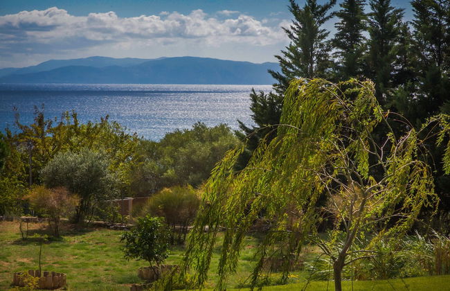 Driftwood Villa - Photo 48