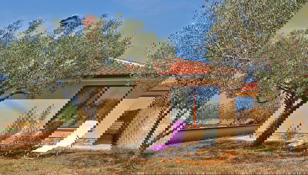 Immagine principale