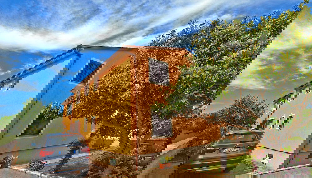 Imagem principal
