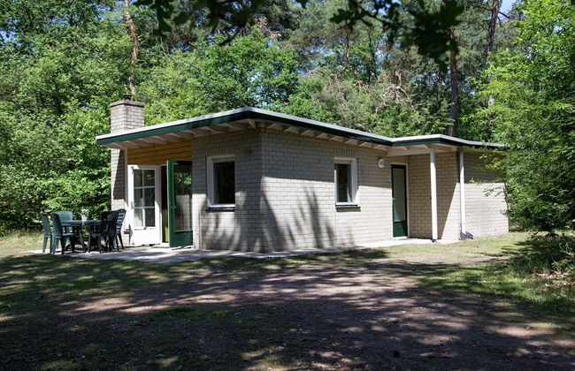Single Storey Bungalow in Dwingeloo With a Terrace - Foto 37