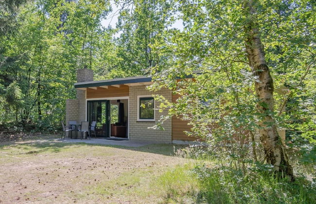 Single Storey Bungalow in Dwingeloo With a Terrace - Foto 17