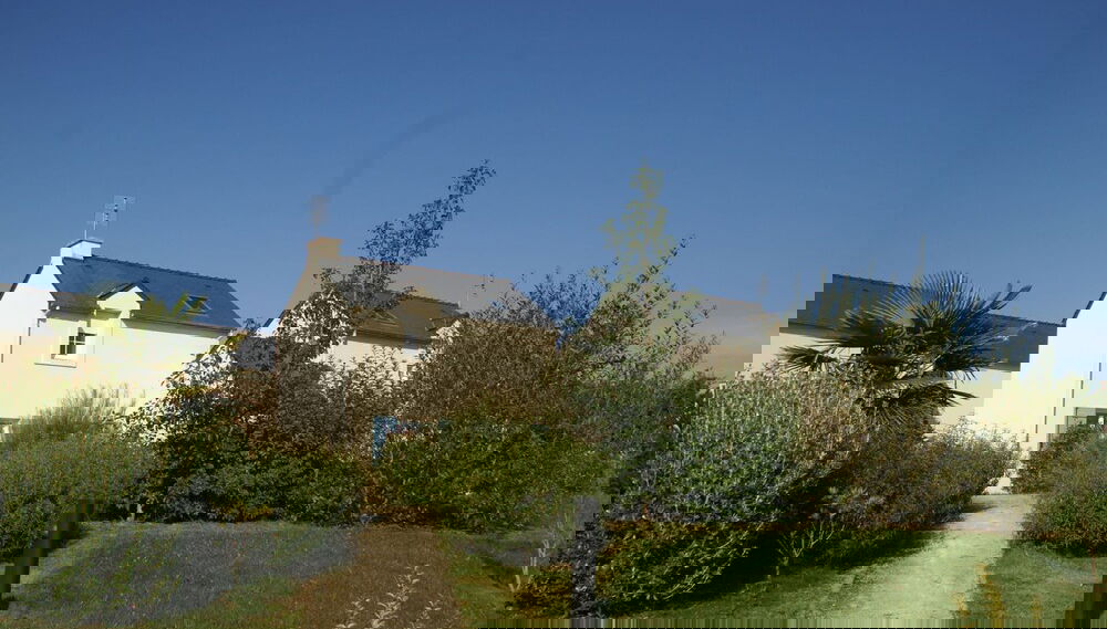 Primary image