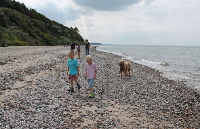 Modernly Furnished Holiday Home Near the Beach - Foto 45