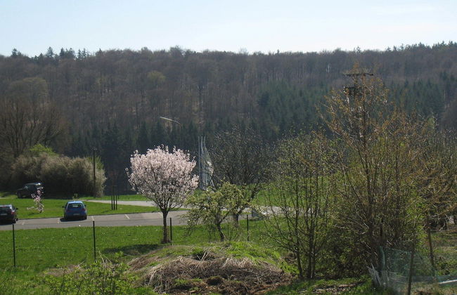 Lovely Holiday Home in Stipshausen With Terrace - Foto 51