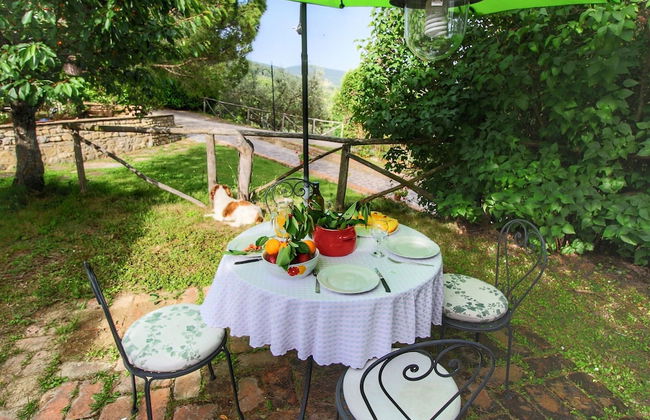 Farmhouse With Stables, Horses and the Ability to Make Horseback Riding - Foto 36