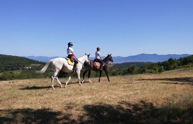 Farmhouse With Stables, Horses and the Ability to Make Horseback Riding - Foto 73