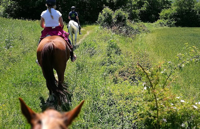 Farmhouse With Stables, Horses and the Ability to Make Horseback Riding - Foto 71