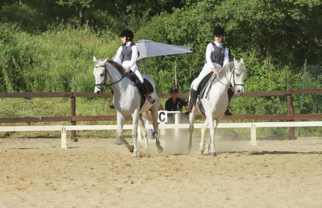 Farmhouse With Stables, Horses and the Ability to Make Horseback Riding - Foto 72