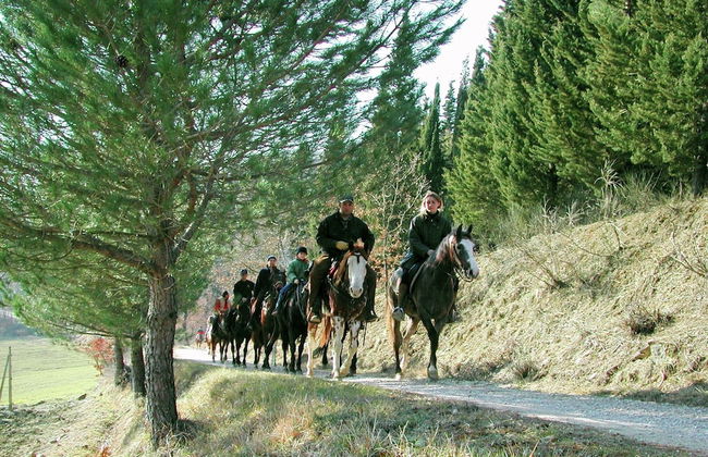 Farmhouse With Stables, Horses and the Ability to Make Horseback Riding - Photo 79
