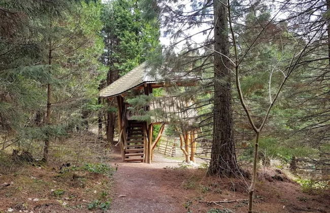 Charming Holiday Residence in the Harz With Wonderful Excursion Opportunities - Foto 63