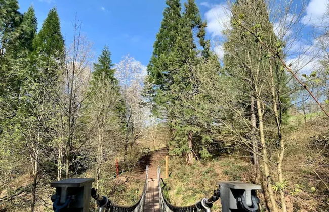 Charming Holiday Residence in the Harz With Wonderful Excursion Opportunities - Foto 64
