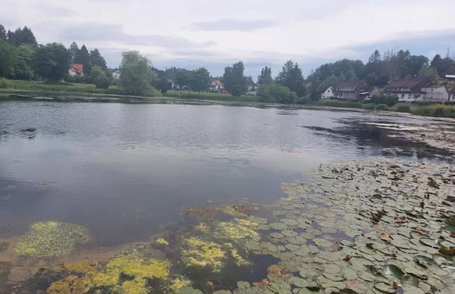 Charming Holiday Residence in the Harz With Wonderful Excursion Opportunities - Foto 67