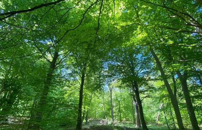 Ferienhaus in Fuhlendorf - Foto 39