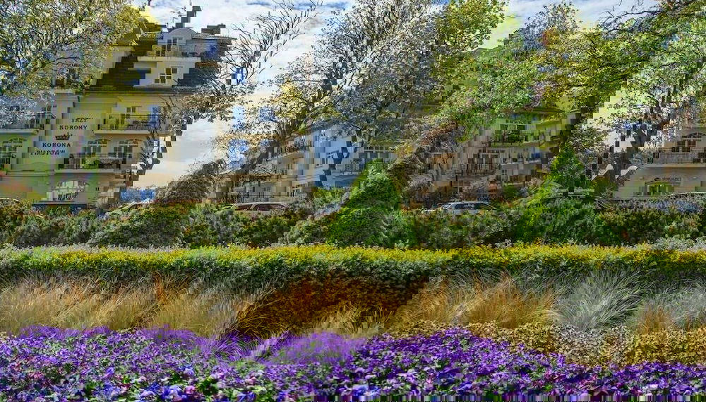 Primary image