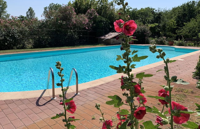 Countryside Bliss With Pool & Tennis - Foto 9