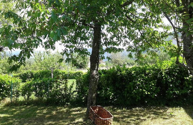 Peaceful Stay With Garden - Foto 21
