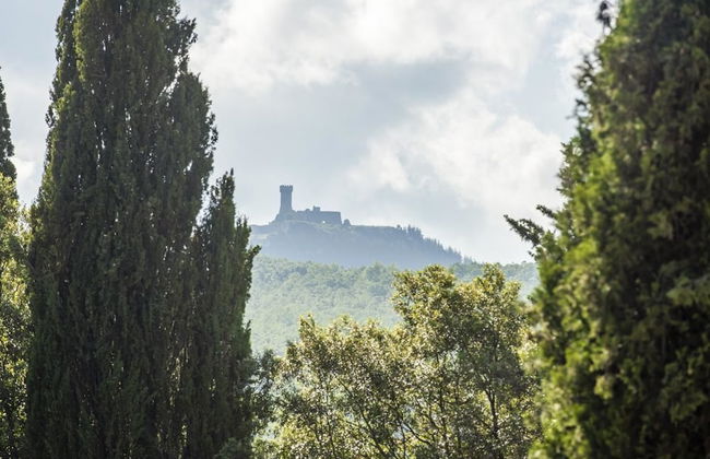 Verdidea - La Palazzina - Foto 48