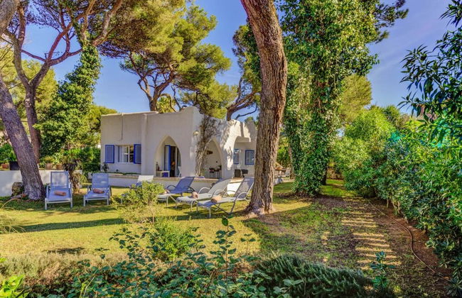New 2020 Casa Plomer - Foto 17