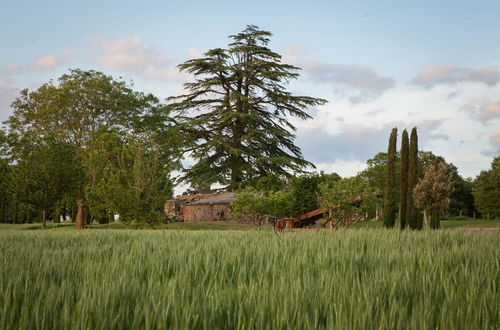 Foto 50 - Tenuta Castelverde