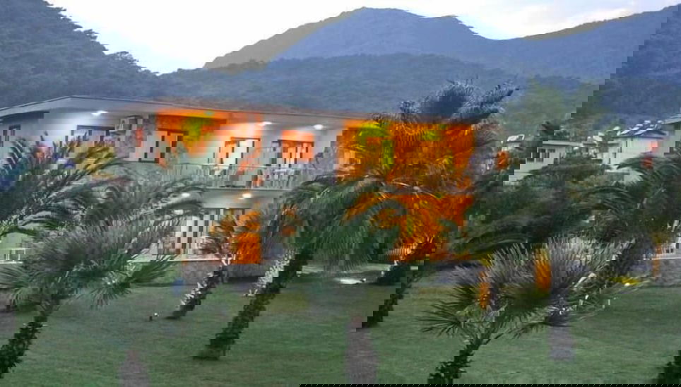 Image principale
