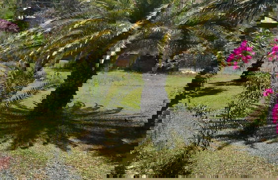 The Palm Apart Sarigerme - Photo 69