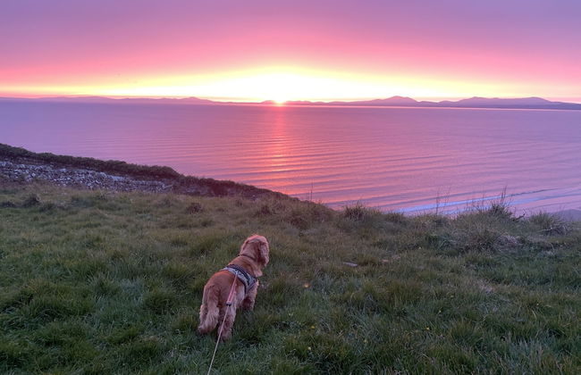 Beautiful Cottage Near Harlech With Ocean Views - Foto 36