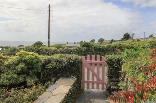 Photo 28 - Beautiful Cottage in Llanfair With Ocean Views