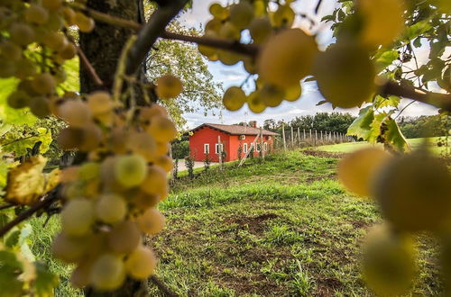 Foto 42 - Agriturismo Borgo Imperiale