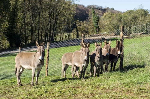 Foto 41 - Agriturismo Borgo Imperiale