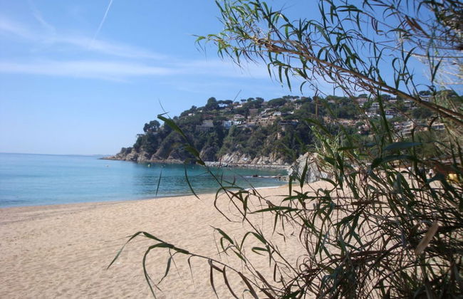 107527 - House in Cala Canyelles - Foto 19