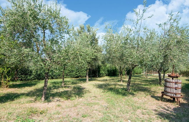 Holiday House near Lake Trasimeno - Foto 29
