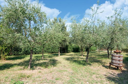 Photo 29 - Holiday House near Lake Trasimeno