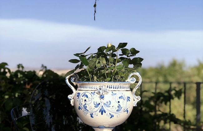 Oikos in Terre di Zaccanello - Foto 59