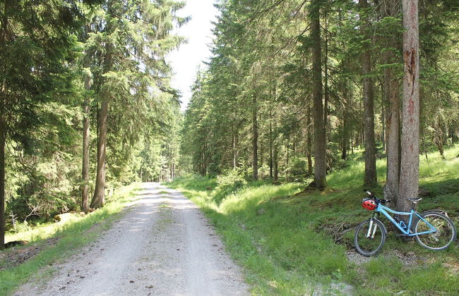 Alpenapartment mit Garten - Foto 34