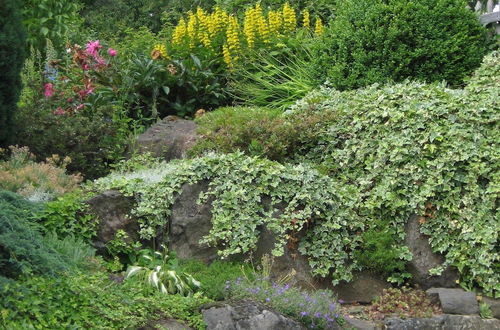 Photo 15 - House With Interior and Garden in Volcanic Eifel