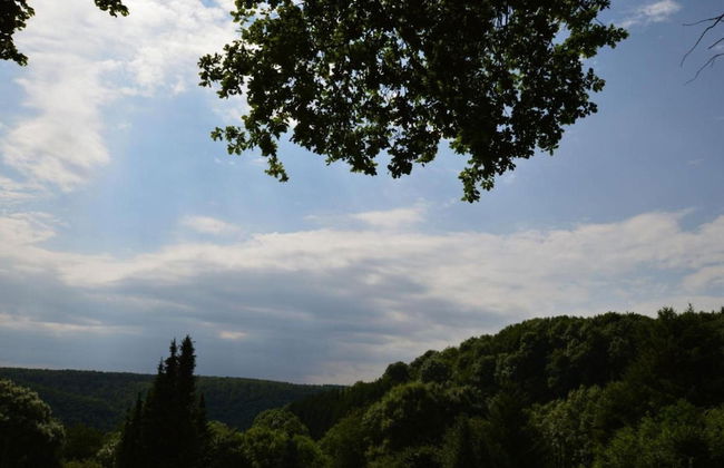 Eifel Escape: Cozy & Scenic - Foto 36