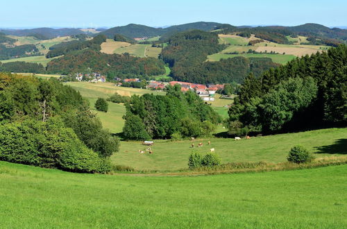 Photo 26 - Holidays in the Sauerland Region - Apartment in a Unique Location With use of the Garden