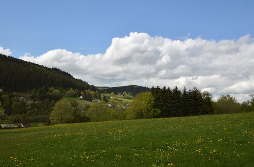 Photo 25 - Comfy Apartment in Zendscheid near Forest