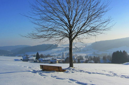 Photo 33 - Cozy Apartment in Herrischried near Black Forest