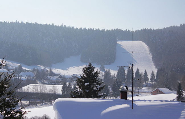 Pleasing Apartment in Herrischried near Forest - Foto 21