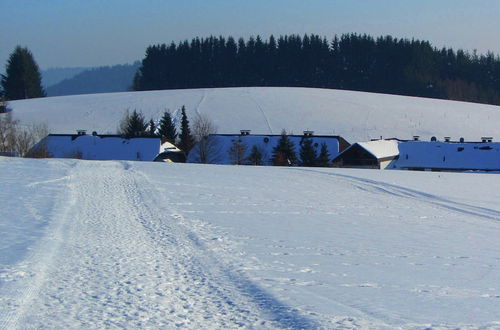 Photo 35 - Cozy Apartment in Herrischried near Black Forest